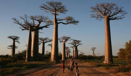 Picture 9 of The most exotic islands in the world