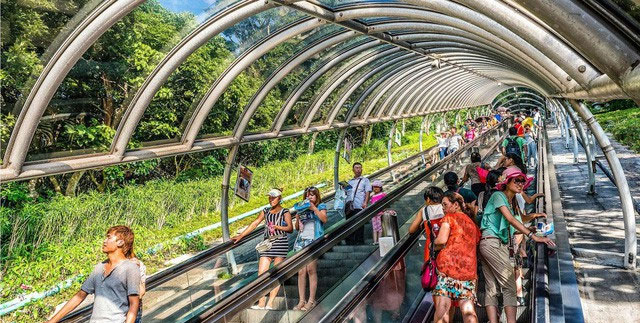 Picture 4 of The most exotic public transport systems in the world