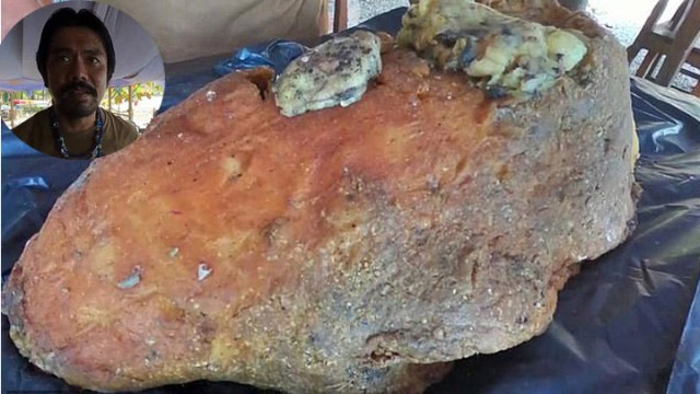 Picture 5 of The most expensive feces in the world, 80kg worth $ 3 million