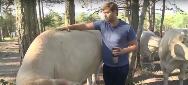 Picture 3 of The most expensive process for freezing beef in the world