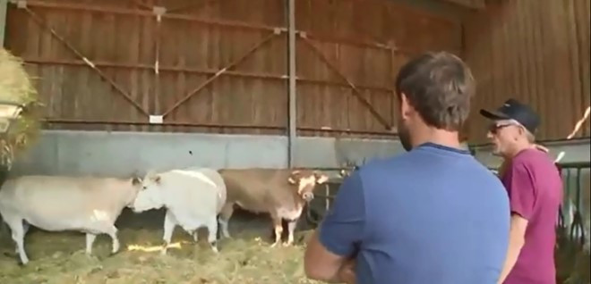 Picture 4 of The most expensive process for freezing beef in the world