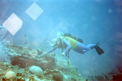 Picture 9 of The most famous shipwrecks in the world