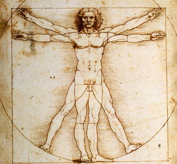 Picture 2 of The most handsome face in the world according to the golden ratio