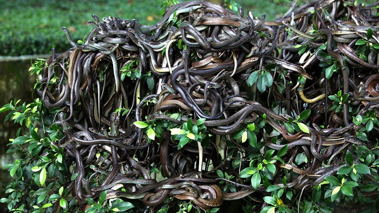 Picture 6 of The most 'horror' land on Earth: Only one minute out in the world is lost!