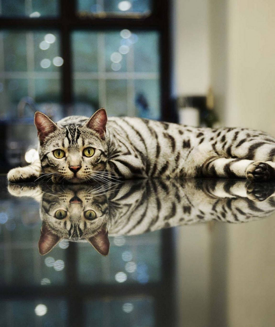 Picture 11 of The most impressive photos of June make it hard to take your eyes off