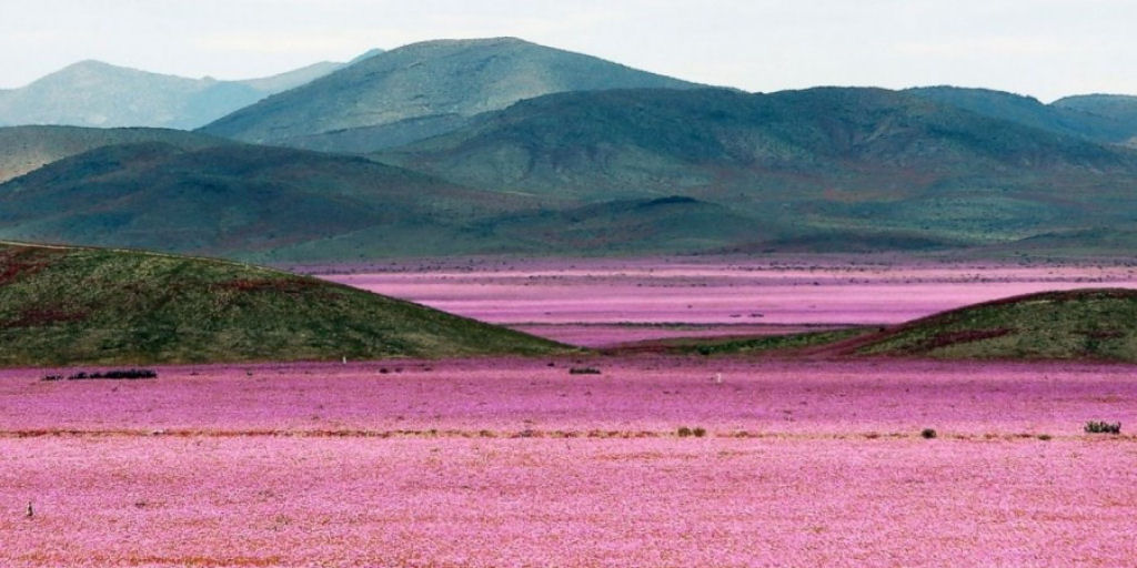 Picture 14 of The most impressive photos of June make it hard to take your eyes off