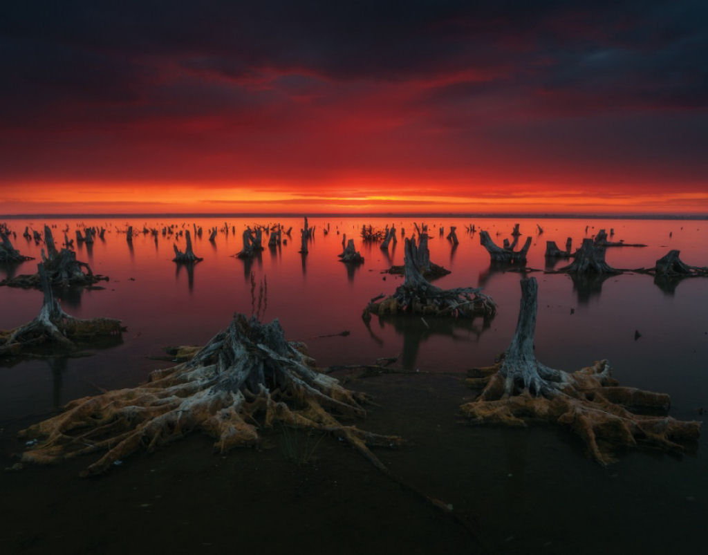 Picture 15 of The most impressive photos of June make it hard to take your eyes off