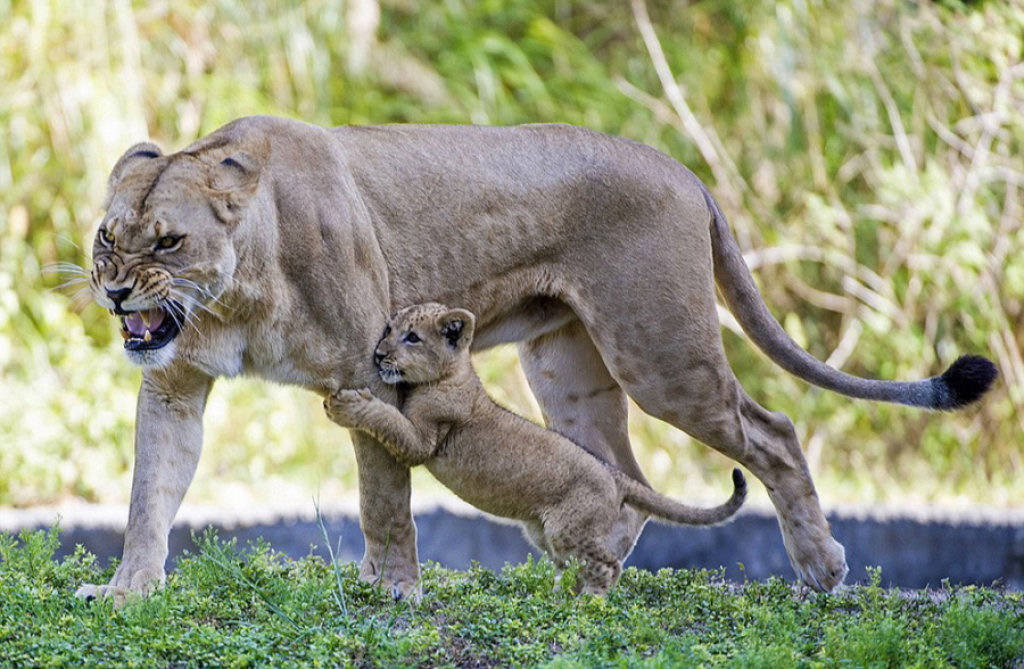 Picture 9 of The most impressive photos of June make it hard to take your eyes off