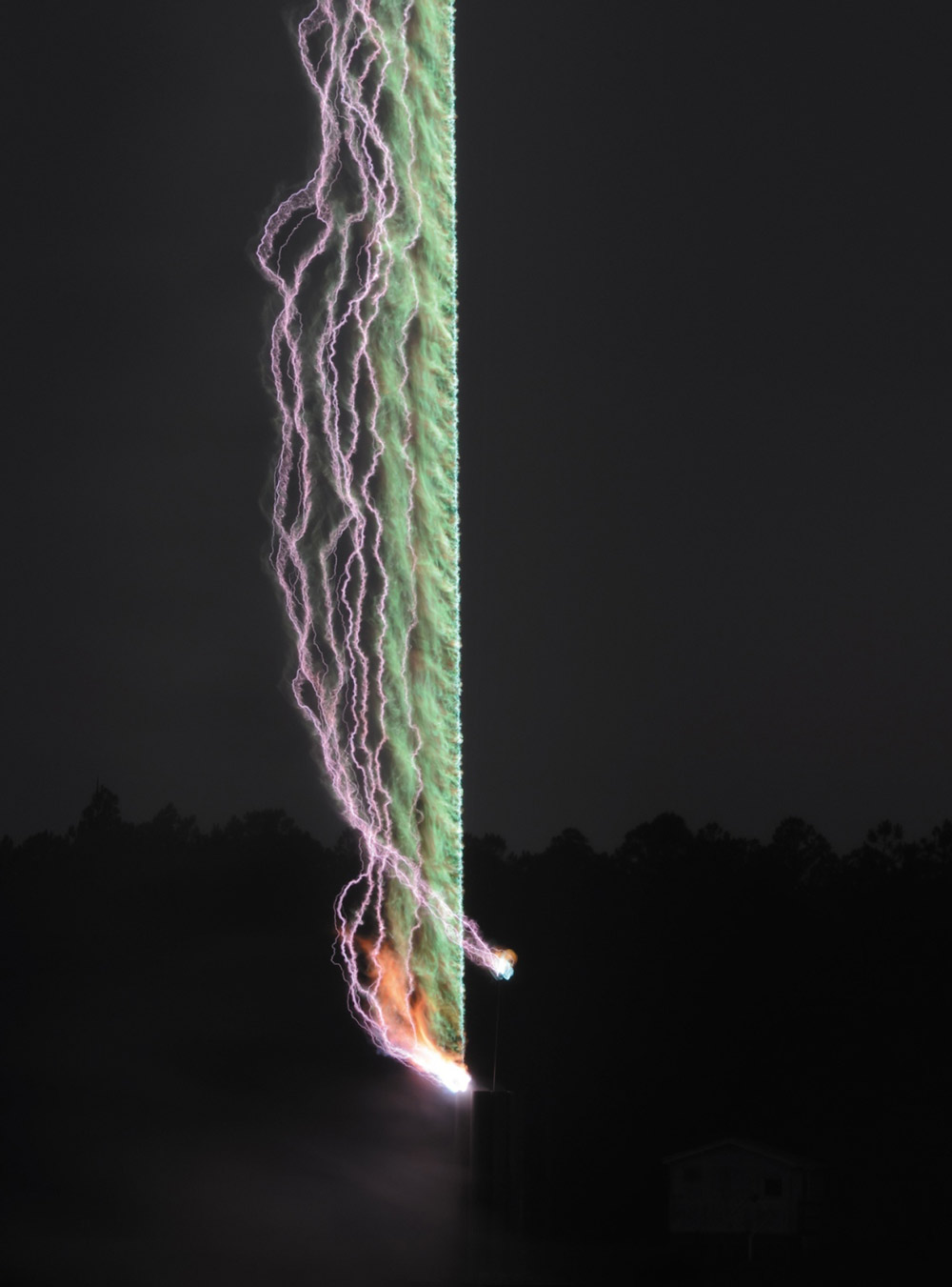 Picture 8 of The most impressive scientific photos of 2015