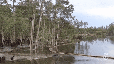 Picture 3 of The most incredible natural phenomena in the world