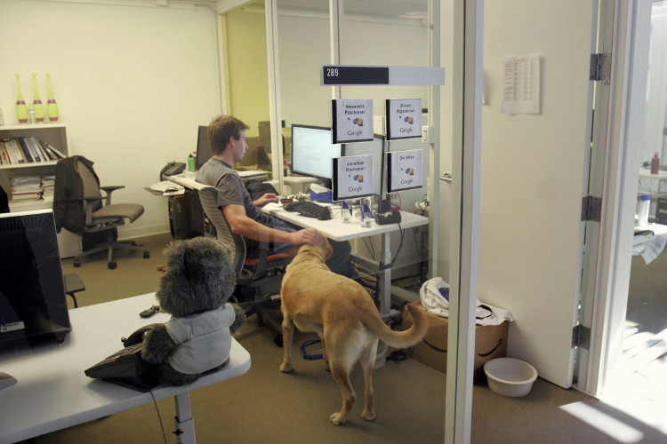Picture 4 of The most incredible things in the world's most bizarre workplace - Google