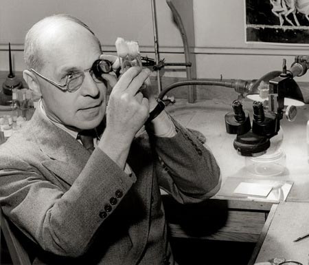 Picture 5 of The most influential Nobel laureates