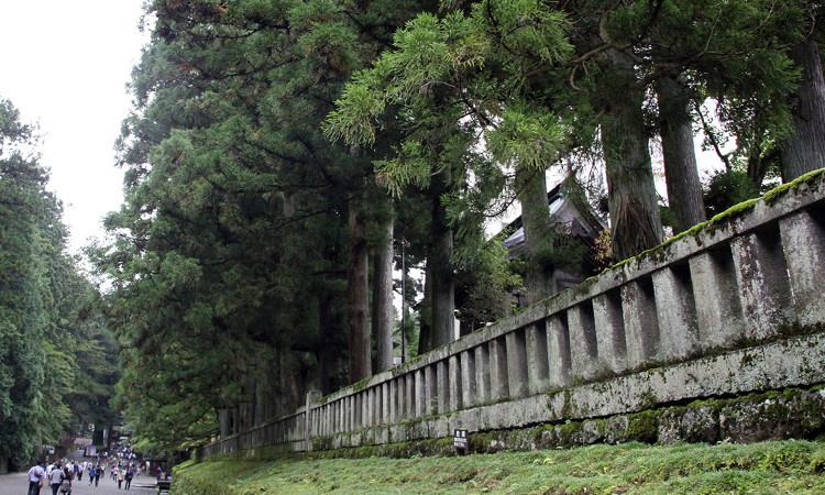 Picture 5 of The most magnificent temple of Phu Tang