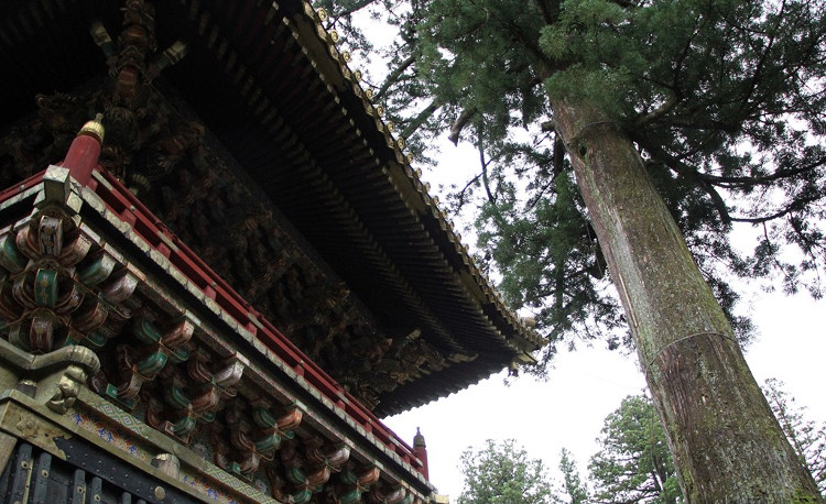 Picture 7 of The most magnificent temple of Phu Tang