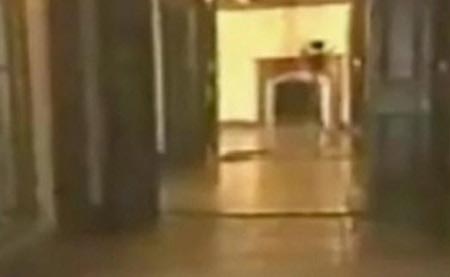 Picture 8 of The most mysterious images of 2009 (Part 2)
