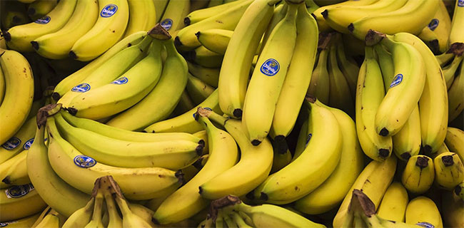 Picture 3 of The most popular banana varieties are now extinct