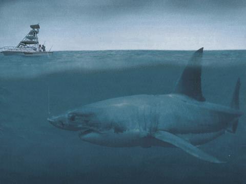 Picture 11 of The most powerful animal of all time?