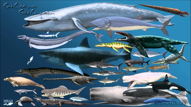 Picture 12 of The most powerful animal of all time?