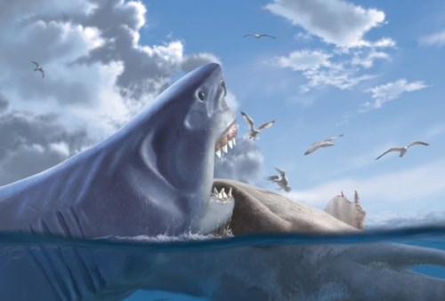 Picture 13 of The most powerful animal of all time?