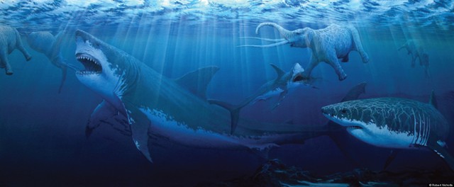 Picture 4 of The most powerful animal of all time?
