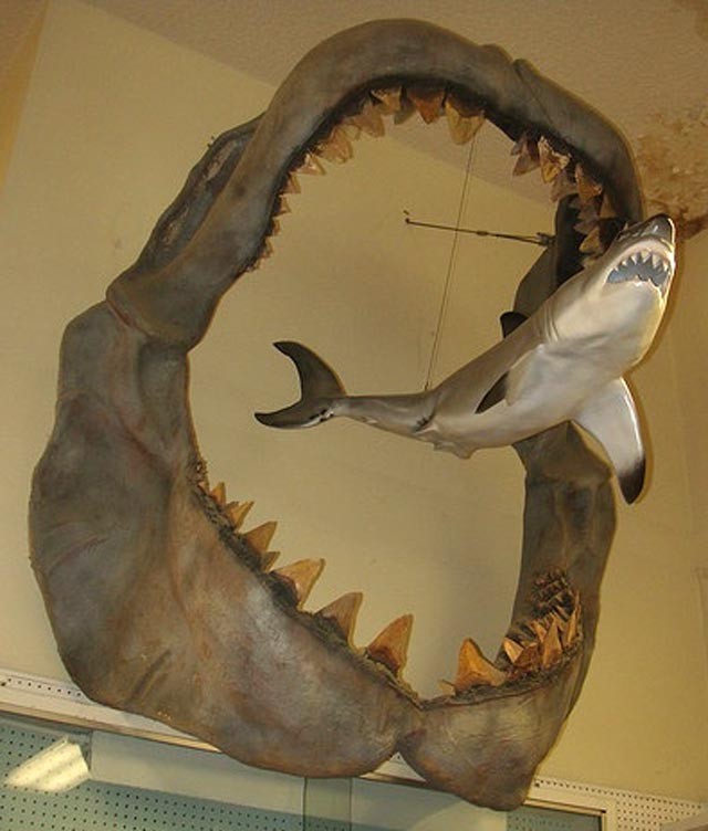 Picture 5 of The most powerful animal of all time?