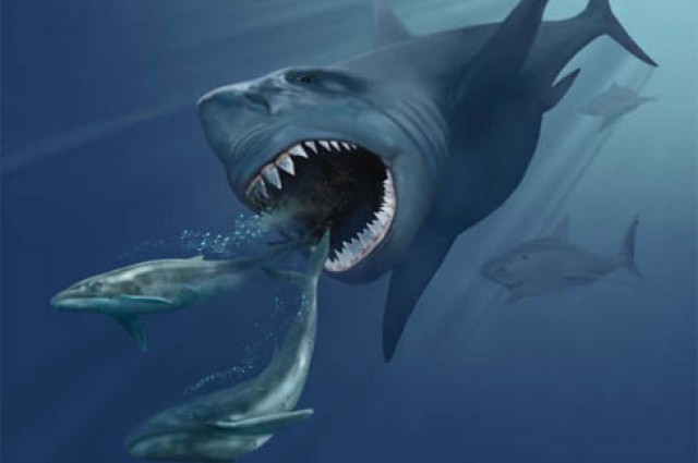 Picture 9 of The most powerful animal of all time?