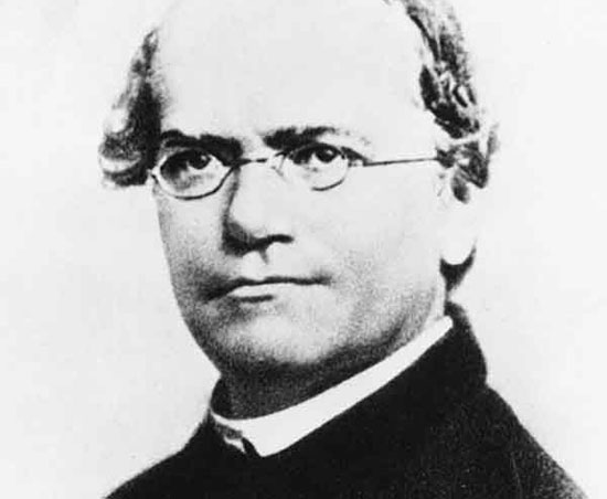 Picture 4 of The most self-taught geniuses of all time