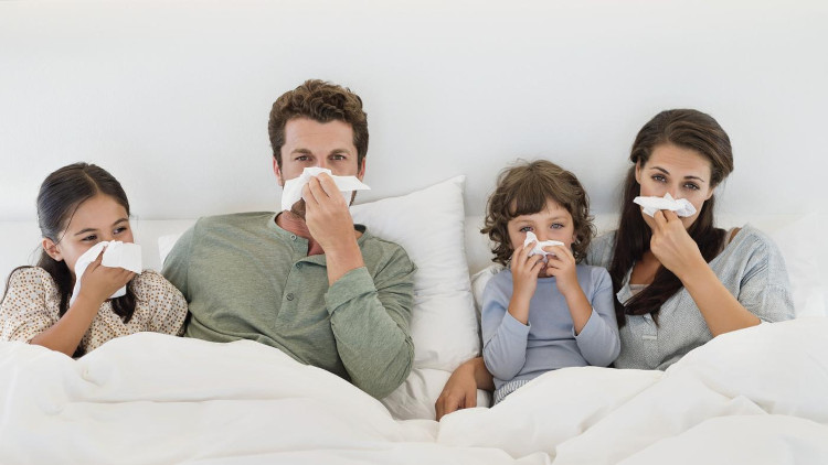Picture 1 of The most severe flu epidemic in 10 years, the US
