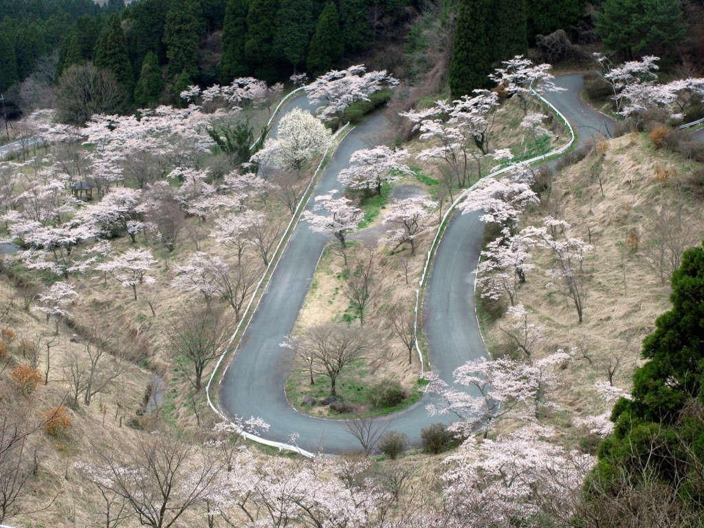 Picture 19 of The most spectacular routes on the planet