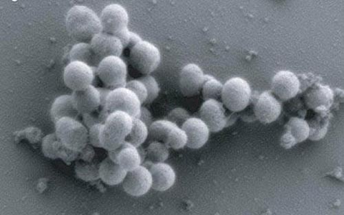 Picture 1 of The most successful scientific ideas in the past year