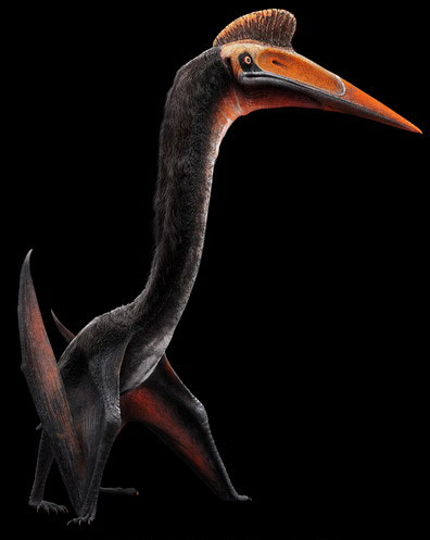 Picture 10 of The most terrible monsters on the planet