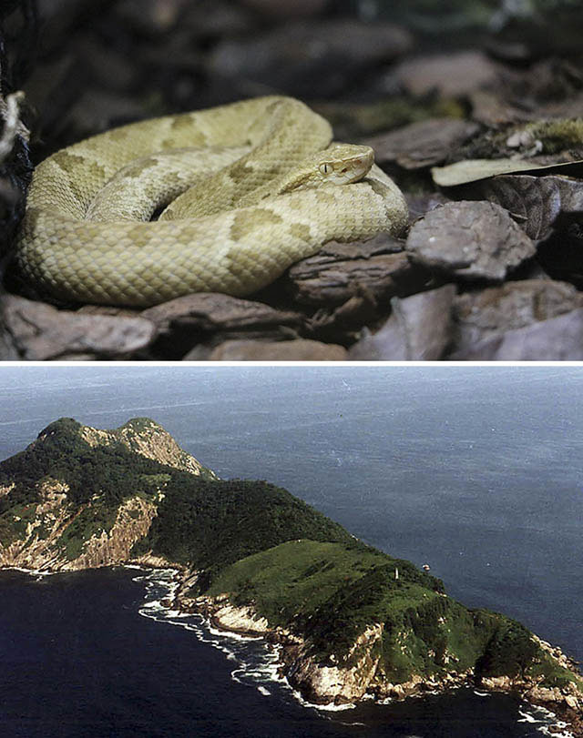 Picture 6 of The most terrifying tourist destinations on the planet