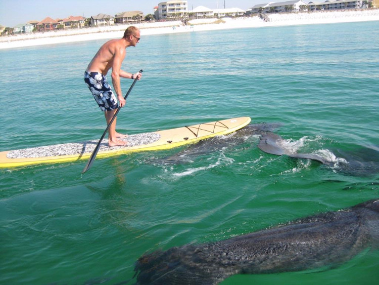 Picture 2 of The most terrifying waters in the world