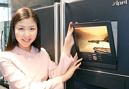 Picture 9 of The most unique refrigerators in the world