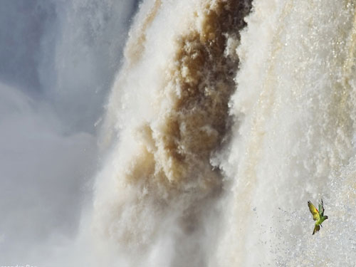 Picture 11 of The most unique scientific photo of 2013