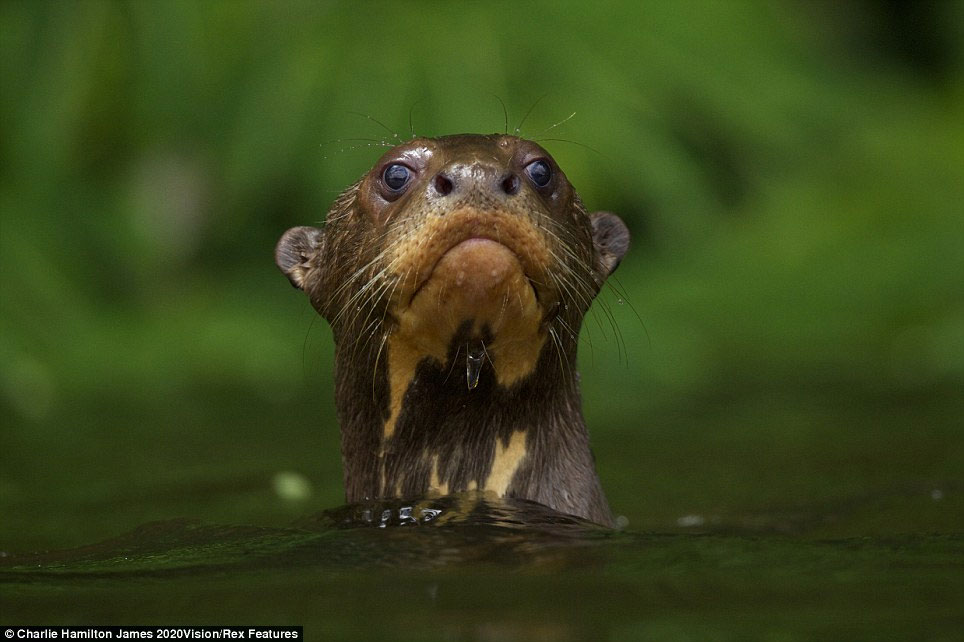 Picture 8 of The most vivid moments of nature