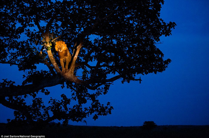 Picture 9 of The most vivid moments of nature