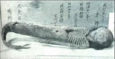 Picture 1 of The mummified corpses of 'mermaids'