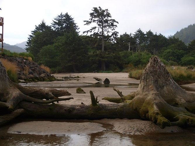 Picture 9 of The mysterious 2000-year-old