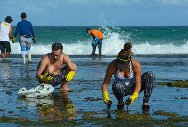 Picture 5 of The mysterious 'black tide' suffocates Brazil's more than 4,400km coastline