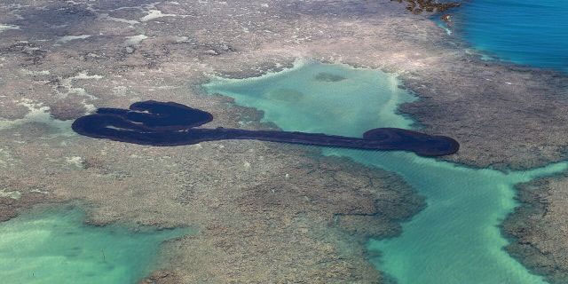 Picture 6 of The mysterious 'black tide' suffocates Brazil's more than 4,400km coastline