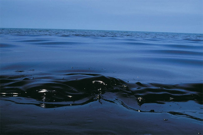 Picture 8 of The mysterious 'black tide' suffocates Brazil's more than 4,400km coastline