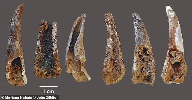 Picture 1 of The mysterious cave reveals the 100,000-year-old world of others