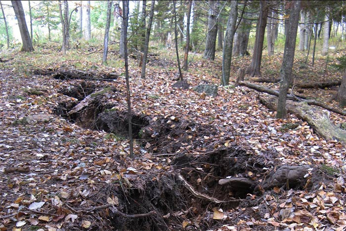 Picture 1 of The mysterious crack is 110 meters long in the American forest