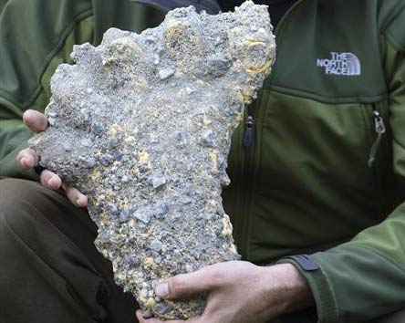 Picture 2 of The mysterious footprint of the Snowman in Nepal