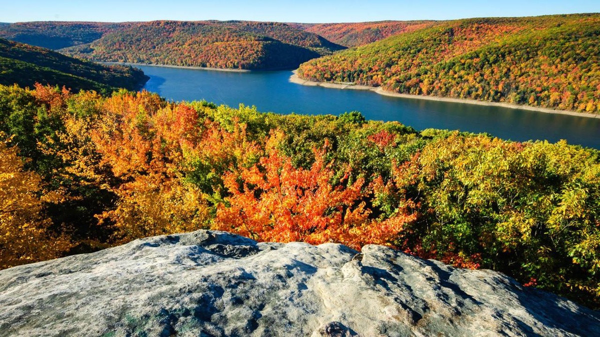 Picture 11 of The mysterious forest lies in the heart of America