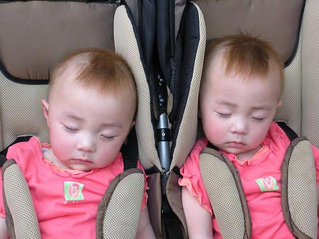 Picture 2 of The mysterious life of the twins