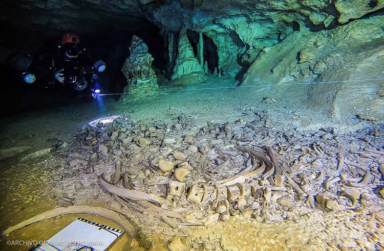 Picture 2 of The mysterious 'Mayan world' inside the world's largest underground cave