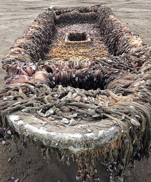 Picture 1 of The mysterious ship drifted to the US coast