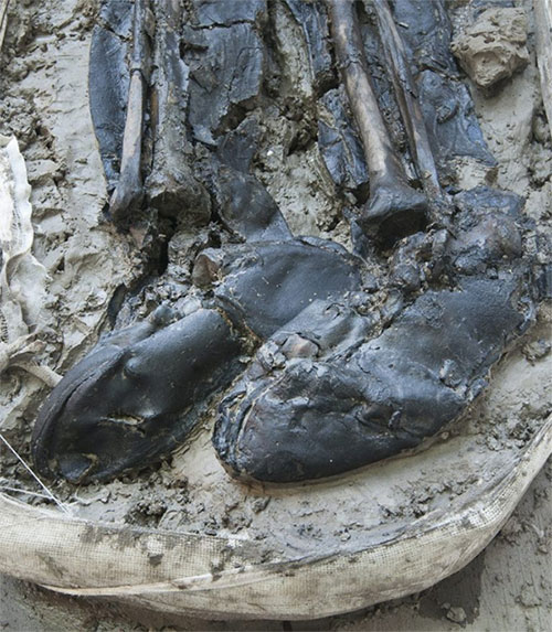 Picture 1 of The mysterious skeleton carries the leather boots on the bottom of the River Thames